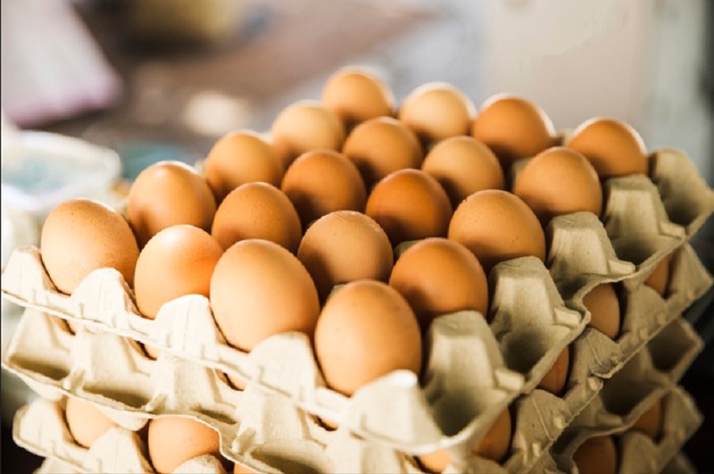 Telur